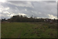 Thames path looking south near Caldecott