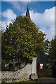 TF0913 : Tree at church gateway by Bob Harvey