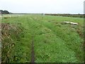 Track in a field