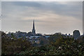 View from Walthamstow Wetlands