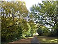 Path in Shrewsbury Park