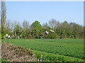 Field and hedge near Farley Green