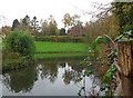 Pond at Inkberrow