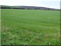 Farmland near Tredinney