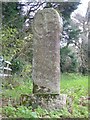 Wayside cross near Tretheague House