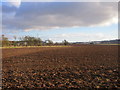 Field adjacent to A90