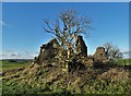 SK2160 : Ruin of a farm building on Elton Common by Neil Theasby