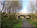 Hartley Avenue bridge (1)