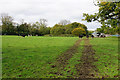 Cattle near Kirkham Farm