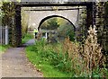 Chesterfield Canal towpath