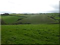 The strange hill south of Halscombe Lane, Ide