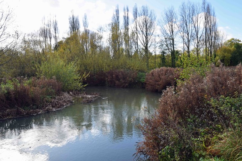 River Windrush, Witney, Oxon © P L Chadwick cc-by-sa/2.0 :: Geograph ...