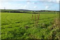 Farmland to the east of Stithians Reservoir