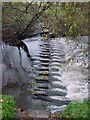 Stepping Stones across the River Skell