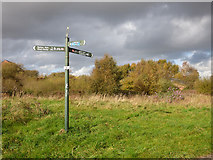 SJ3697 : Signpost on NCN62, Aintree by Stephen Craven