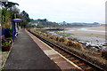 Hayle Estuary