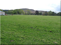 NH5519 : Large field at Easter Aberchalder by Richard Law