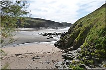 SW6620 : Beach at Church Cove, near Gunwalloe Cornwall by Derek Voller