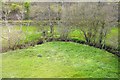 SX8162 : Meander, River Hems by N Chadwick