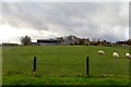 Farmhouse and buildings on the Ballynahinch Road