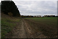 Path around Gascoigne Wood Mine