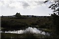 Stoborough Heath