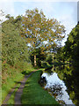 Canal south of Great Haywood in Staffordshire