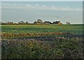 View to Warren House Farm