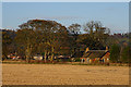 A Pair of Cottages