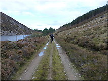 NH5820 : Along the track at the south end of Loch Conagleann by Richard Law