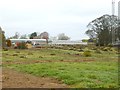 Halls of Heddon Nurseries