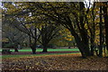 Car park and picnic area at Horton Park