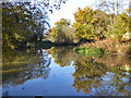 Allsmoor Pond