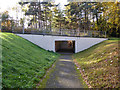 Pedestrian subway, Bracknell