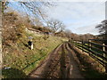 Track to Tylcha Isaf Farm, Tonyrefail