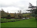 Pond near the church in Inkberrow