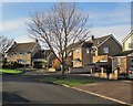 Greystoke Road: morning light