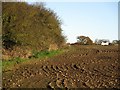 Ploughed field below West Woodside