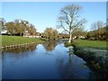 Mill Pond and Mill farm, Horningsham