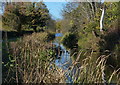 Grantham Canal in West Bridgford