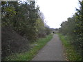 Track towards Bulwell Hall from Westville