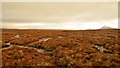 NC9330 : Cnoc Coire na Fearna, on the Sutherland - Caithness Boundary by Andrew Tryon