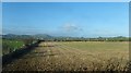 Harvested crop land west of Aghlisnafin