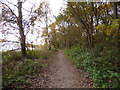 Whitegate Way parallel to Bradford Road