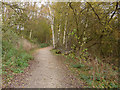 Whitegate Way looking north