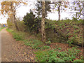 Wall adjacent to the Whitegate Way