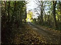 Track to Thurland Hall Farm