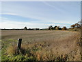 Stubble field at New Farm, Sleaford