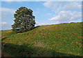 Cutting Near Eardington