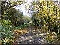 Hadleigh Railway Walk